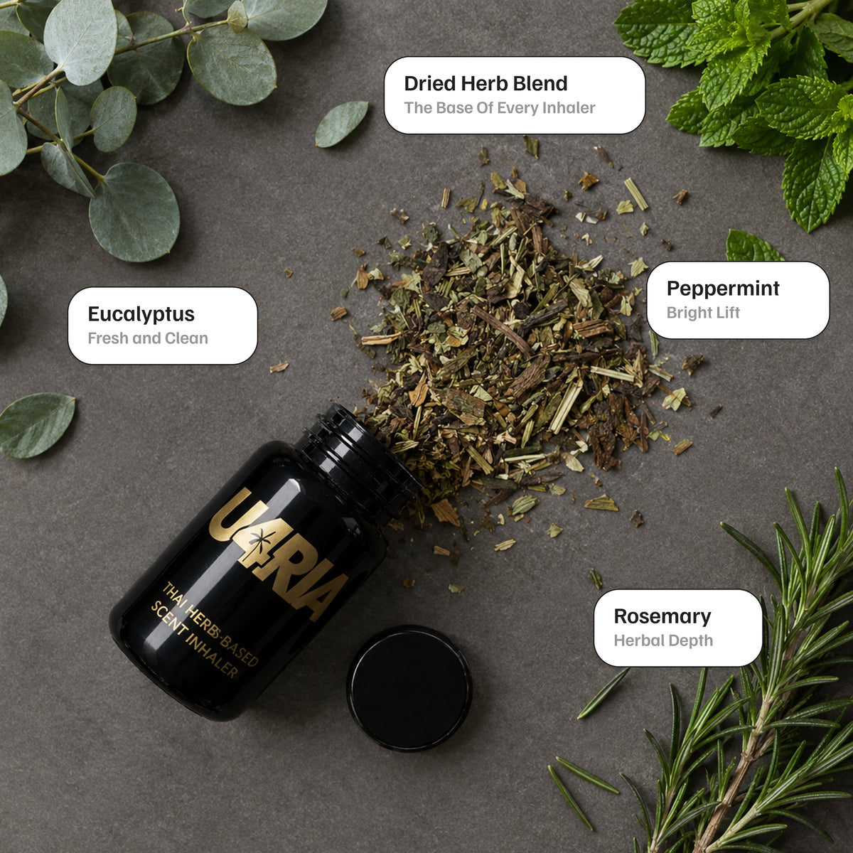 Open U4RIA inhaler spilling its dried herb blend, surrounded by fresh eucalyptus, peppermint and rosemary